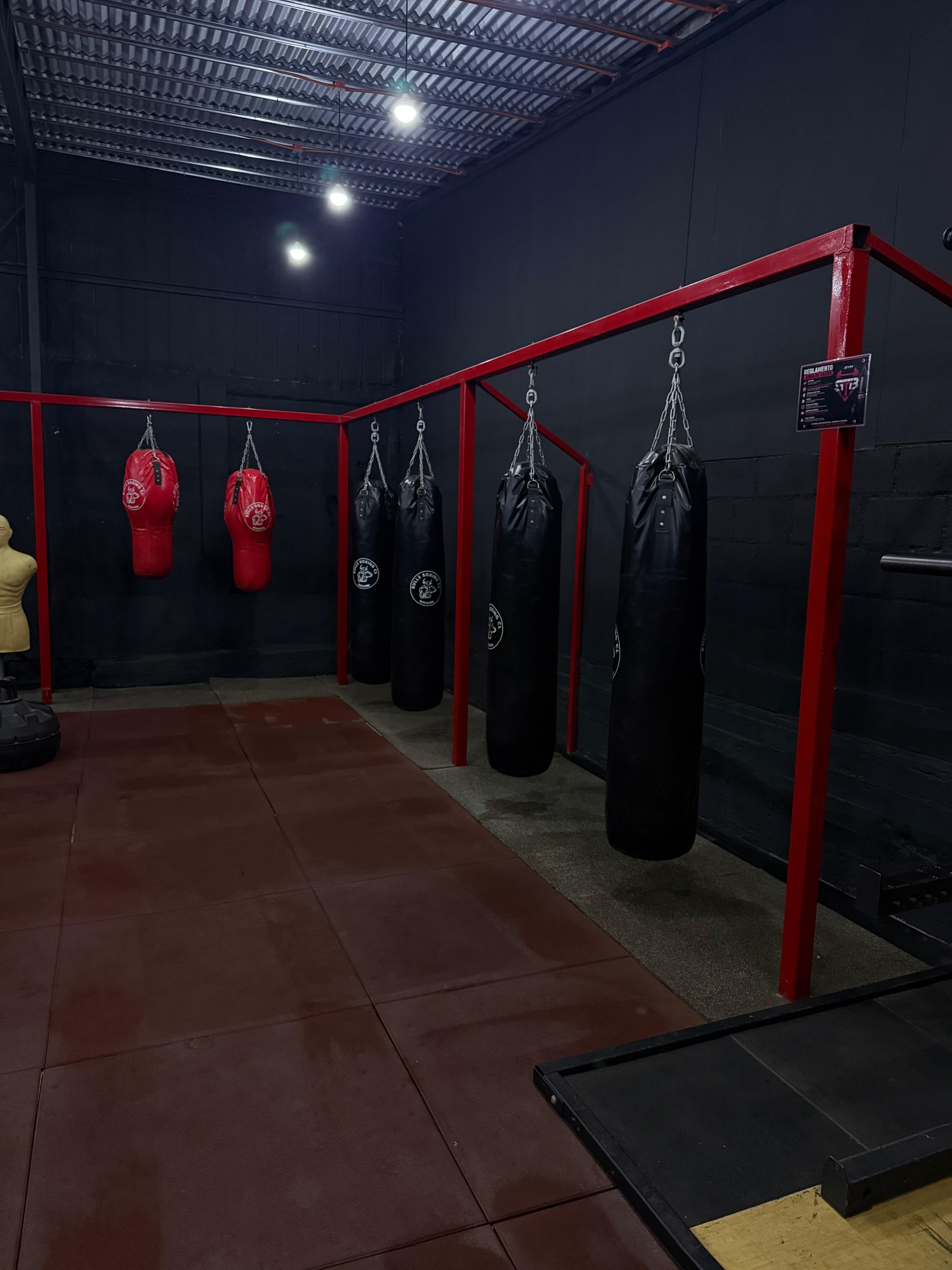 Sacos de boxeo